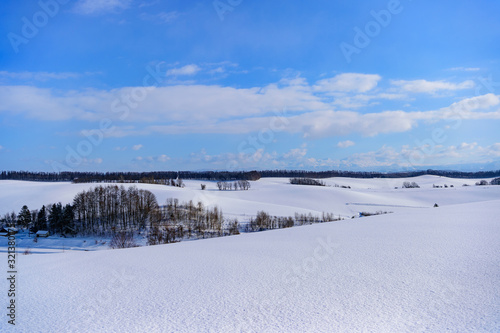 Wallpaper Mural 雪 Torontodigital.ca