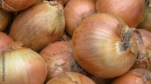 The close up of fresh onions vegetable at food market in Taipei, Taiwan.