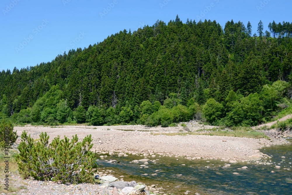 Big Salmon River at the mouth of the Bay of Fundy in the summer, New Brunswick, Canada