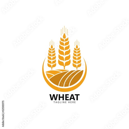 Agriculture wheat Logo Template vector icon