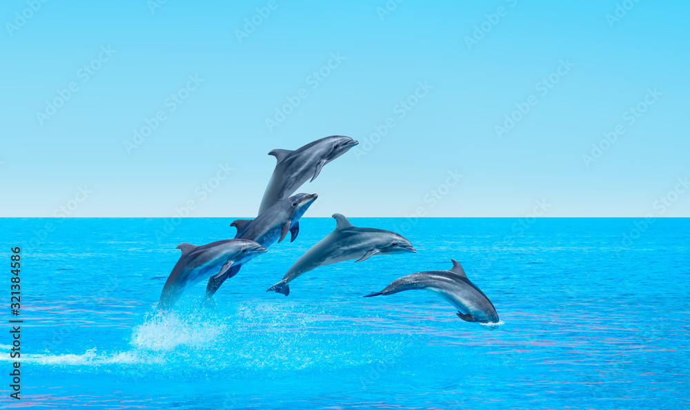 Fototapeta premium Group of dolphins jumping on the water