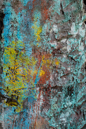 Paint on tree trunk bark, textured.