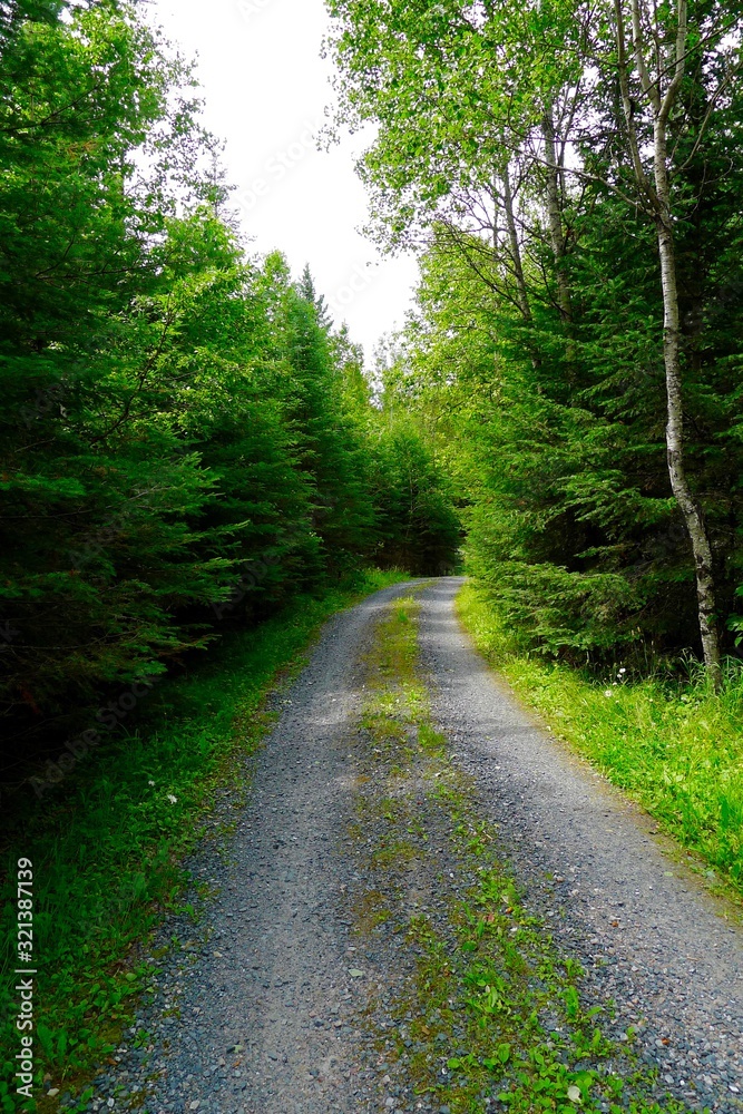 Gravel Road at Pelican Pouch Lake, Ontario, Canada Gravel Road at Pelican Pouch Lake, Ontario, Canada