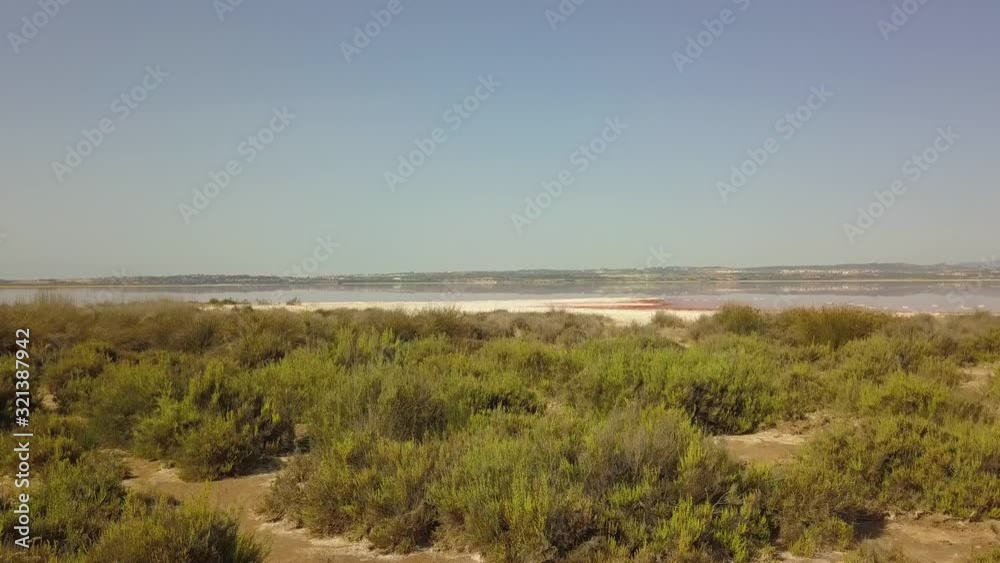 Vegetation in the foreground and Torrevieja salt lake in the background that reveals after a zoom. Vegetation in the foreground and Torrevieja salt lake in the background that reveals after a zoom.