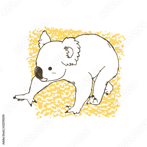 コアラのイラスト　白