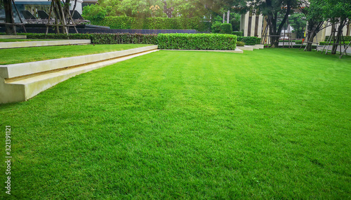 Smooth and fresh green grass lawn as a carpet in garden backyard, good care maintenance landscapes decorated with flowering plant on grey concrete container, shurb and bush under shading of the trees photo