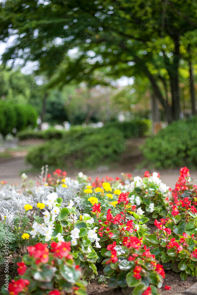 田無市民公園(東京都西東京市) 田無市民公園(東京都西東京市)