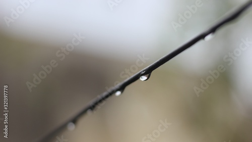 Rain Drops on Wire © Ananta William