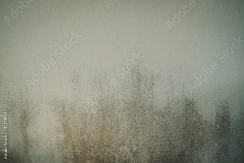old white wall concrete texture with algae