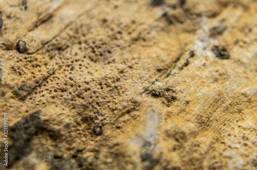 Sandstone with the remains of minerals and clay close-up. Macro photo