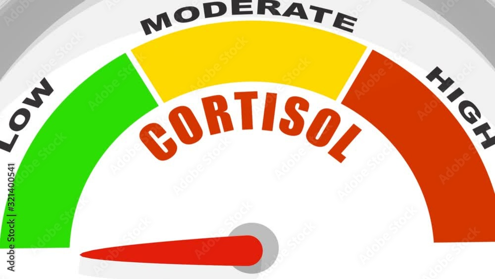 Hormone cortisol level measuring scale. Health care concept. 3D ...