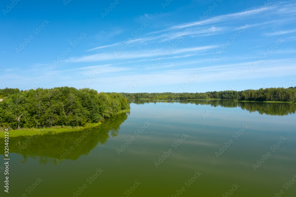 Top view of the forest lake and vegetation along its shores