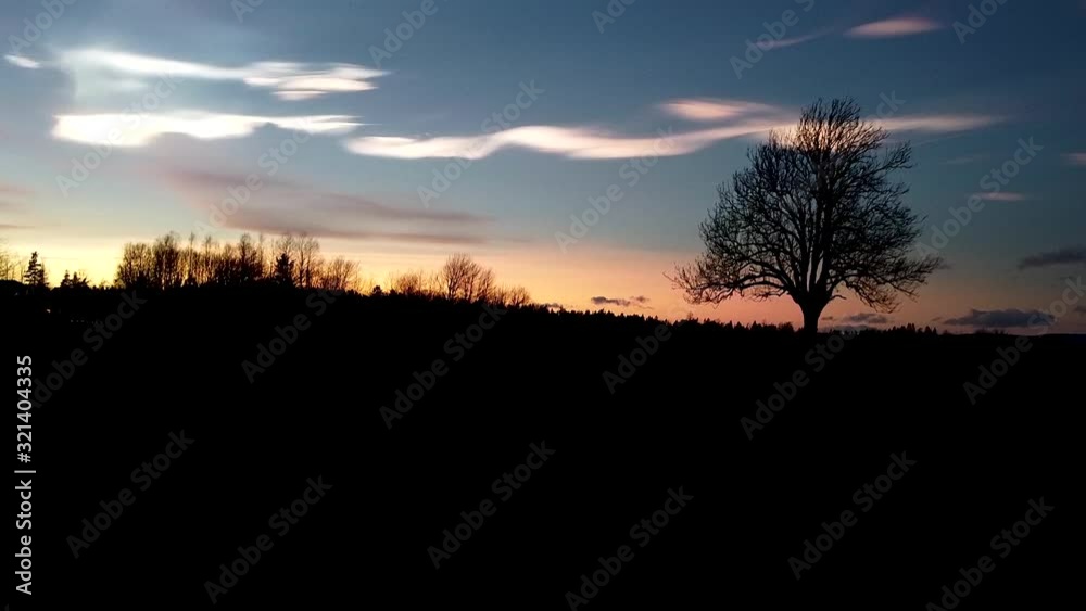 Brilliant sunset with the silhouette of a tree in the foreground and cirrostratus clouds in the background - dolly forward, wide angle, aerial view Brilliant sunset with the silhouette of a tree in the foreground and cirrostratus clouds in the background - dolly forward, wide angle, aerial view
