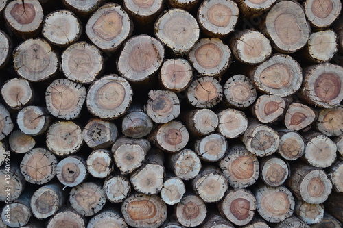 Logs prepared for the cold season