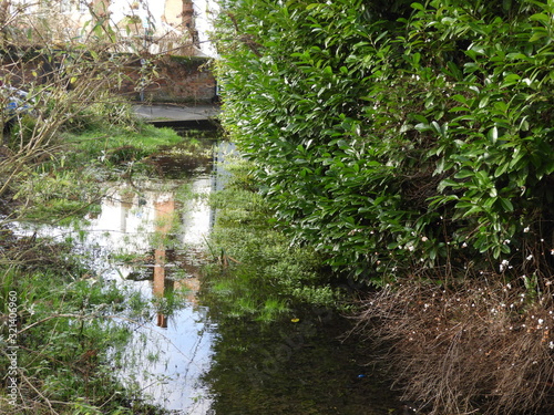 River Chess in Chesham