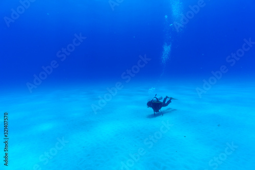 小笠原の海を潜るダイバー