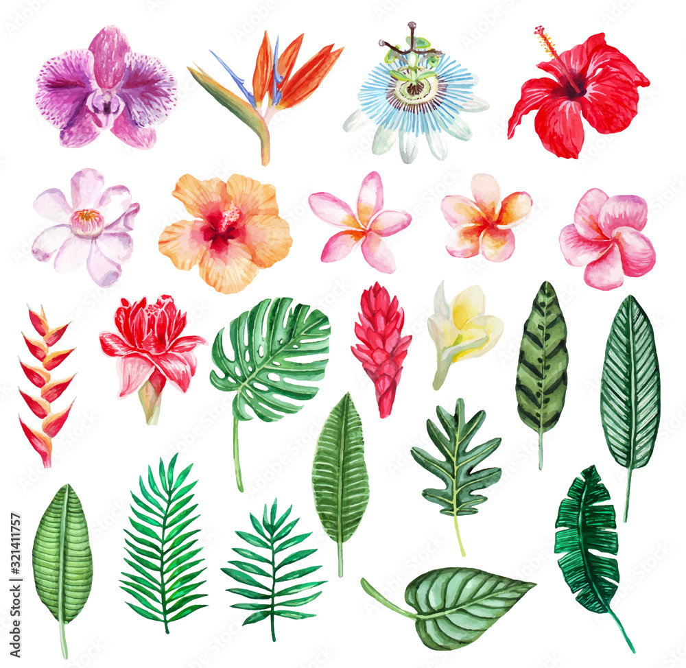 Large vector hand drawn watercolor tropical plants set. Perfect for wedding invitations, greeting cards, blogs, posters and more