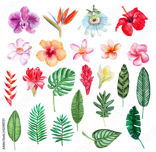 Large vector hand drawn watercolor tropical plants set. Perfect for wedding invitations  greeting cards  blogs  posters and more