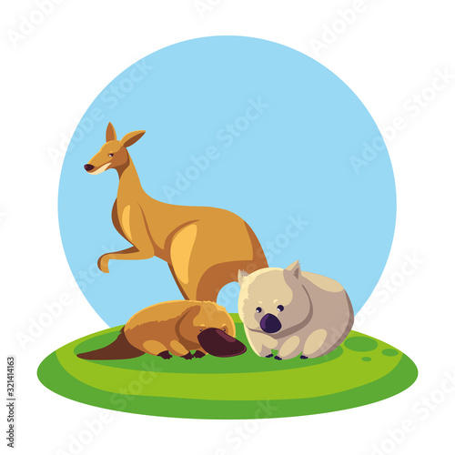 animals of australia over landscape