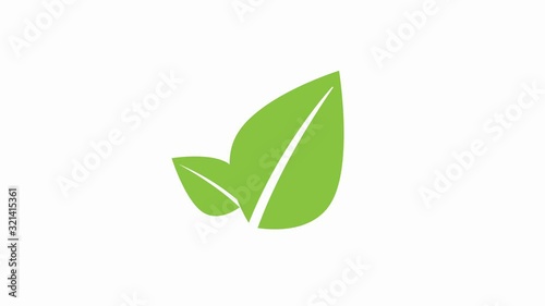 animation green leaves. Graphic element for univesary design. Looped 4K motion graphic.