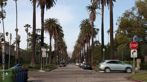 Iconic shot of palms with the Hollywood Sign in the background of traffic in Los Angeles California.