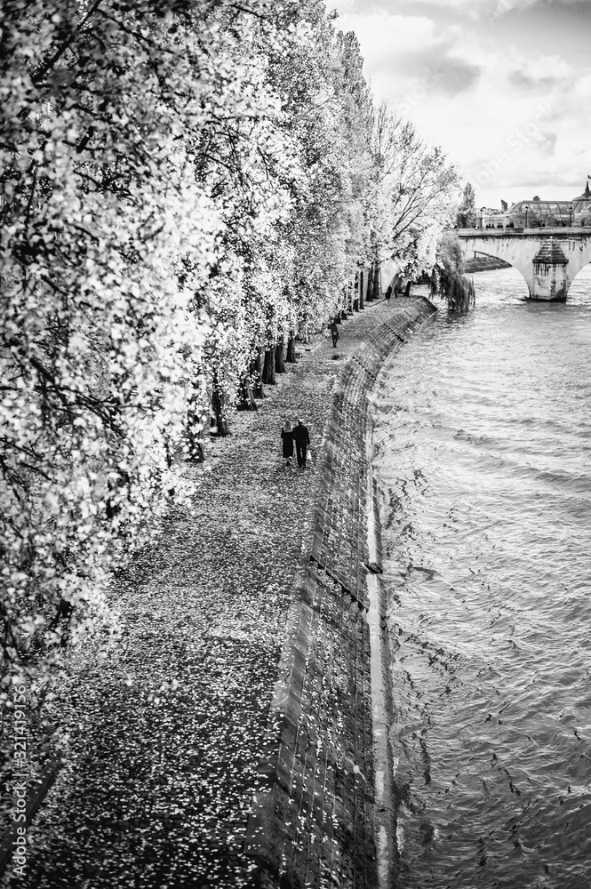 Fototapeta premium Paris Seine Ufer 