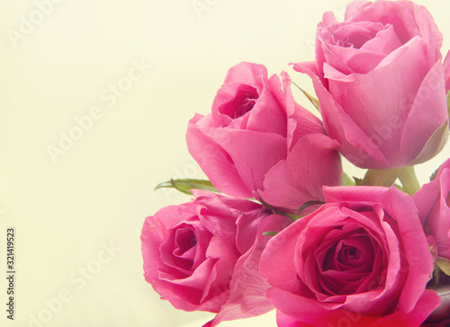 Abstract background of pink roses