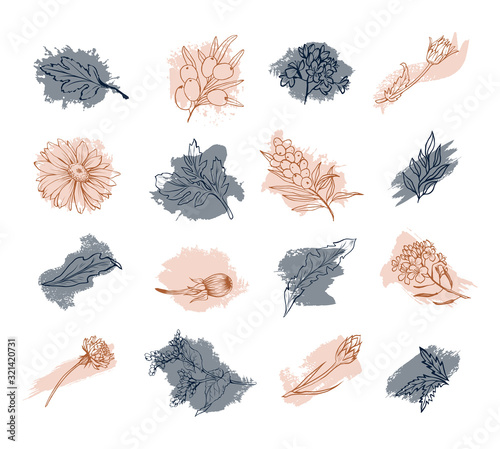 Flowers and floral blossoms with tree leaves, vector hand drawn sketch art. Oak leaf, olive branch and blooming flower buds and petals on gray and pink abstract ink smudge strokes, isolated decoration