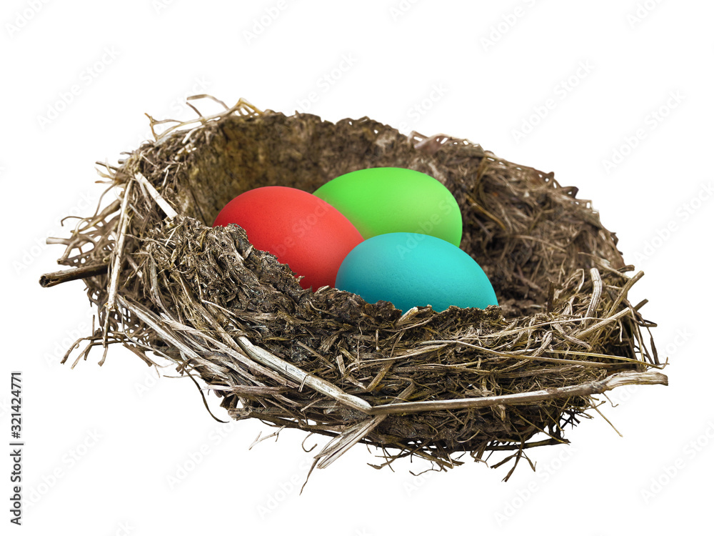 Real nest with easter eggs isolated on white background. Easter greeting card or banner element. Real nest with easter eggs isolated on white background. Easter greeting card or banner element.