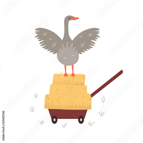 Vector illustration of a farm goose, farm animal