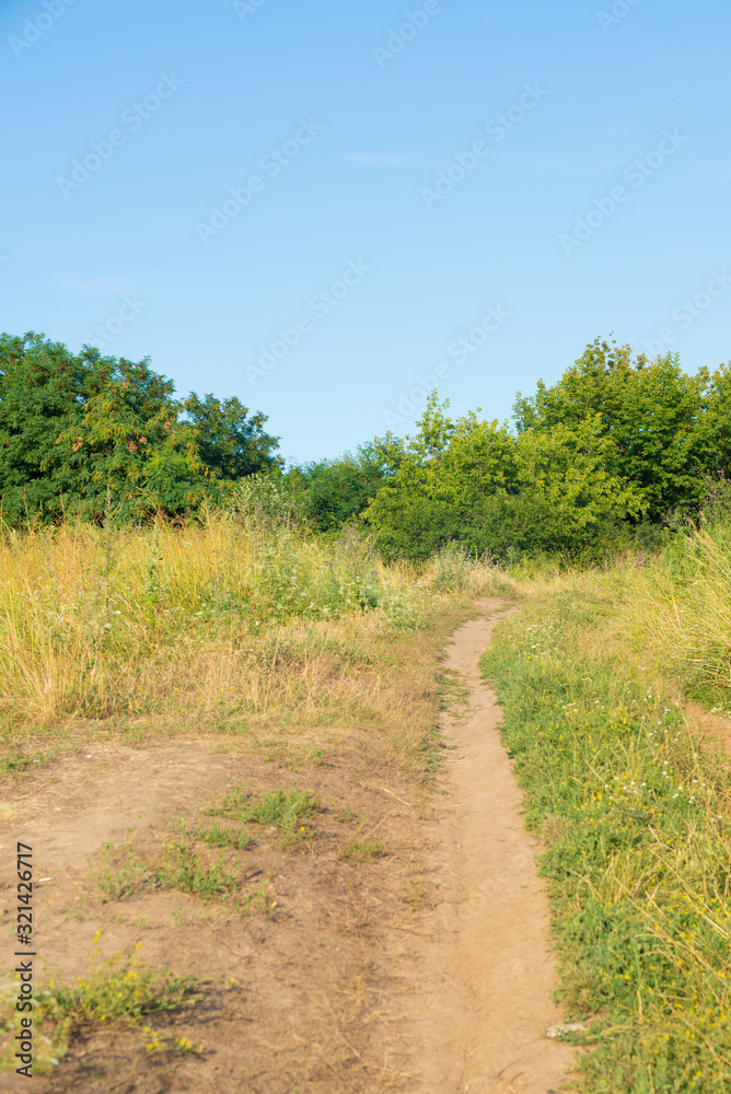 Country summer road among green trees and grass under blue sky on sunny afternoon Country summer road among green trees and grass under blue sky on sunny afternoon