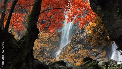 Still shot of amazing in nature, beautiful waterfall at colorful autumn forest in fall season