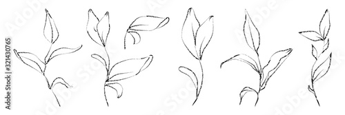 Vector set of hand drawn plants. Botanical sketched 