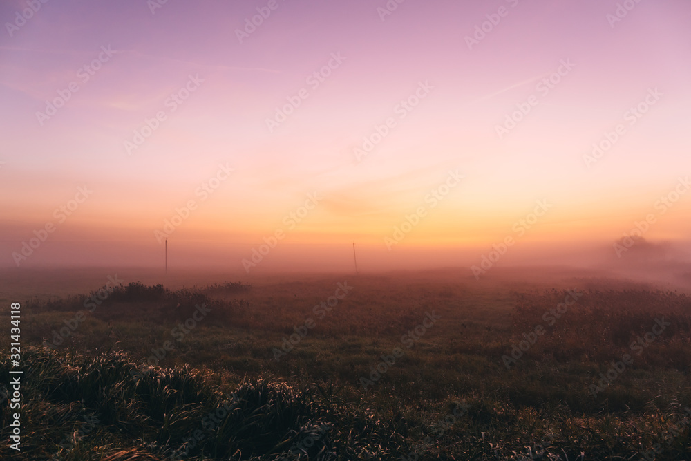 Early morning in a field with a pink dawn and shrouded haze of mist, a mesmerizing mysticism of nature Early morning in a field with a pink dawn and shrouded haze of mist, a mesmerizing mysticism of nature