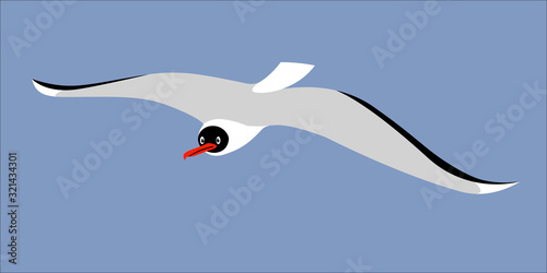 funny black head seagull flying in blue sky, marine symbol for logo, decoration or emblem, color vector illustration isolated on blue background in cartoon and flat style