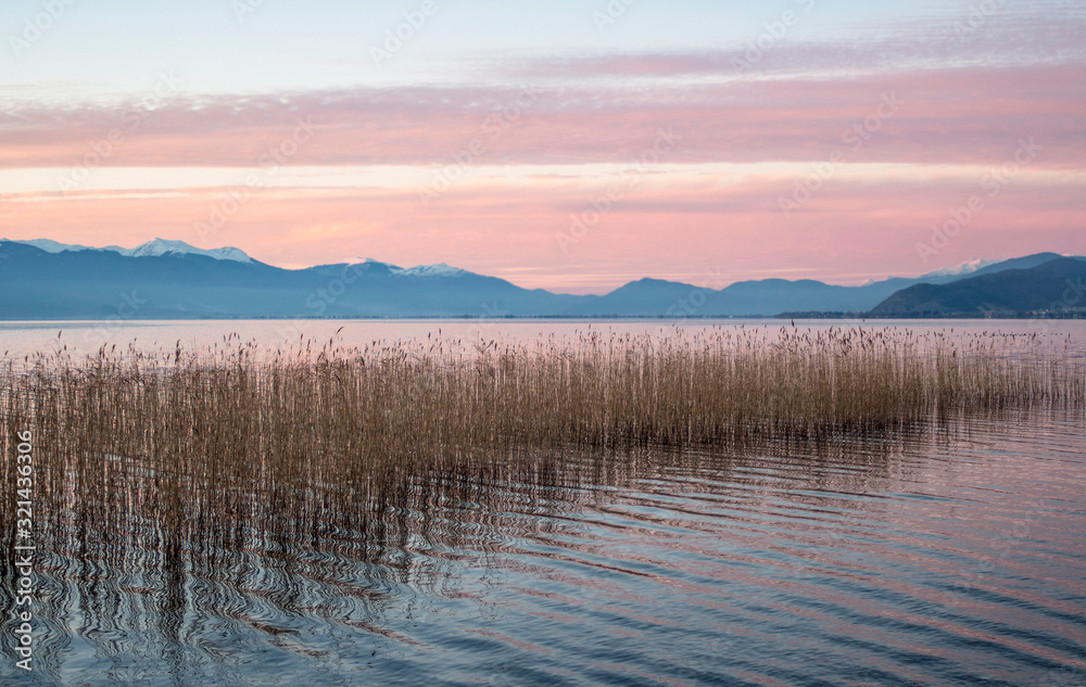 A series of lake landscapes. With reeds. The delicate pink colors of a sunset are reflected in the water. Ohrid Lake, Northern Macedonia.