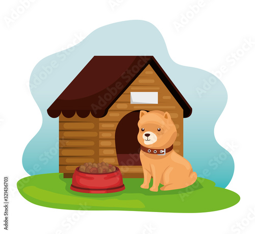 little dog with wooden house and dish food