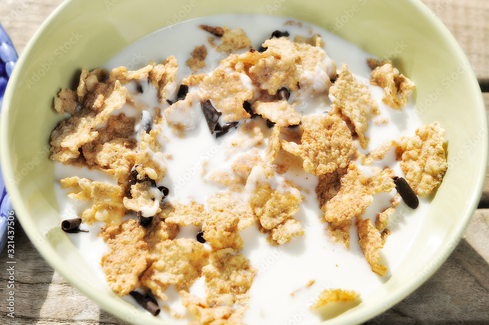 corn flakes breakfast with yogurt and milk corn flakes breakfast with yogurt and milk