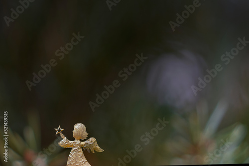 Photography Christmas celebration card with a golden angel in front of a green background wi