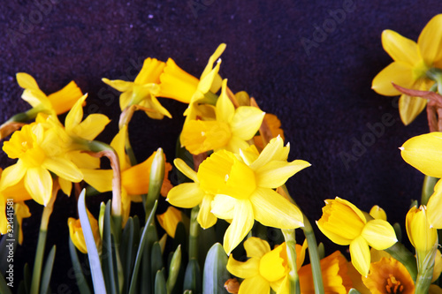Fototapeta Naklejka Na Ścianę i Meble -  blooming daffodils flat lay on rustic background for springtime decoration