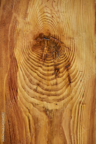 wood texture background