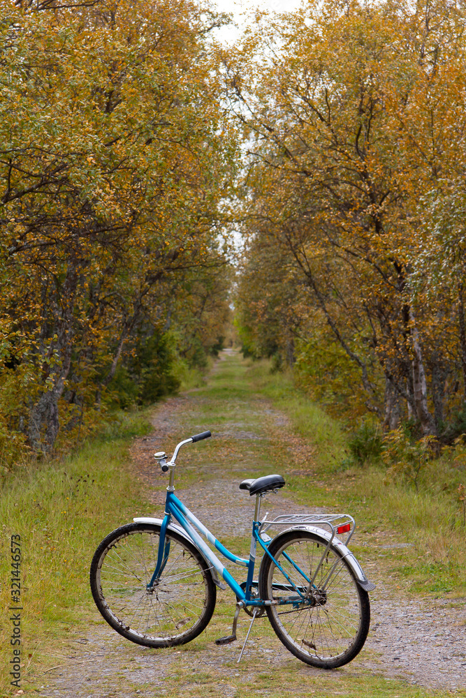Bicycle on the long autumn road / Lonely bicycle