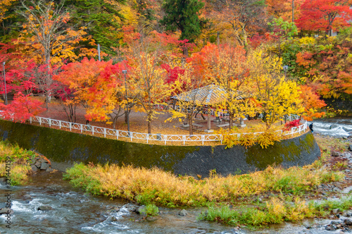 中野もみじ山 photo