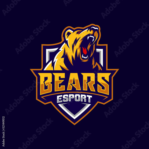 Modern professional grizzly bear logo for a sport team