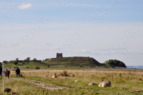 Burgruine Kalø