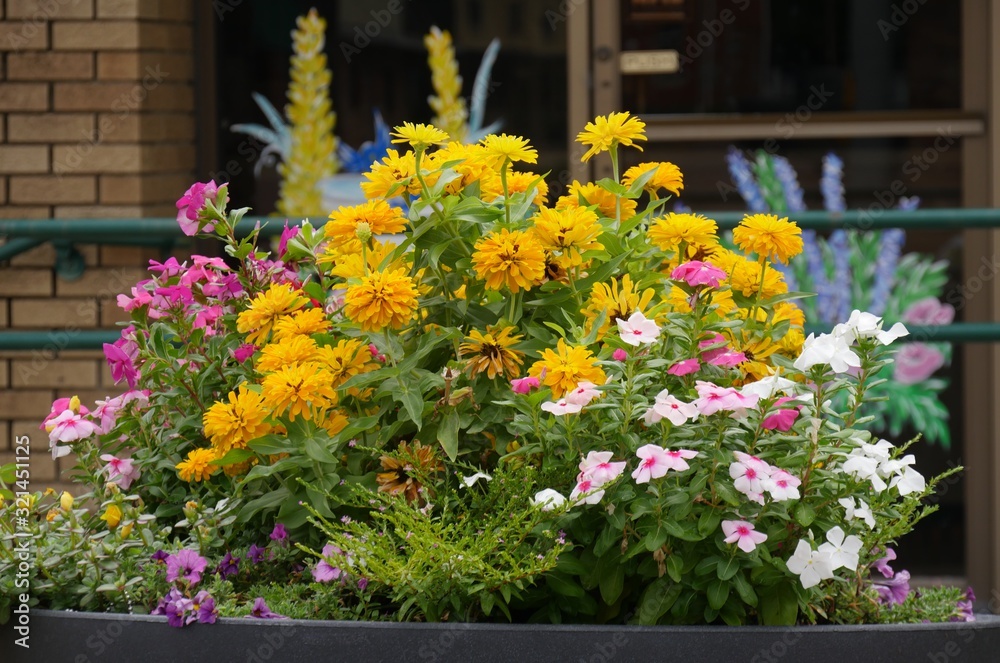 Profusion of blooming colorful flowers by the streetside Profusion of blooming colorful flowers by the streetside
