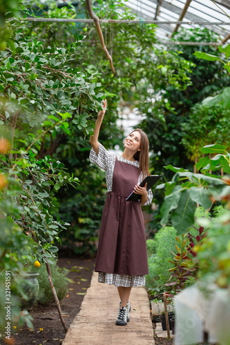 Gardener holding a flower in a pot standing in the winter garden. Vertical photo