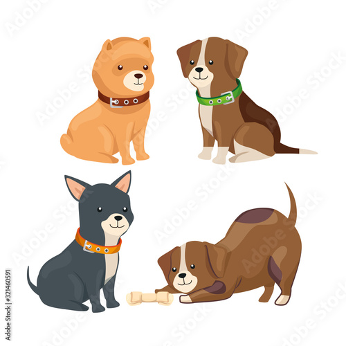 group of little dogs animals
