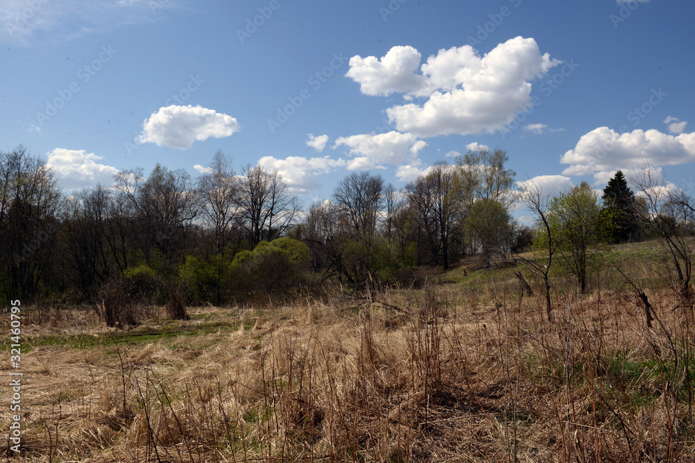 the field where the village was the field where the village was