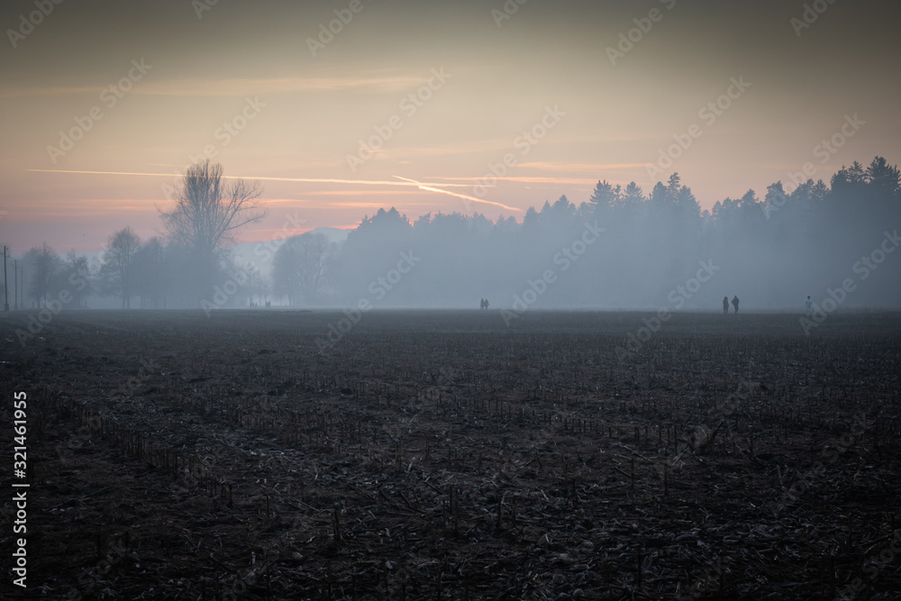 foggy mistical atmosphere in winter time fields and forest foggy mistical atmosphere in winter time fields and forest